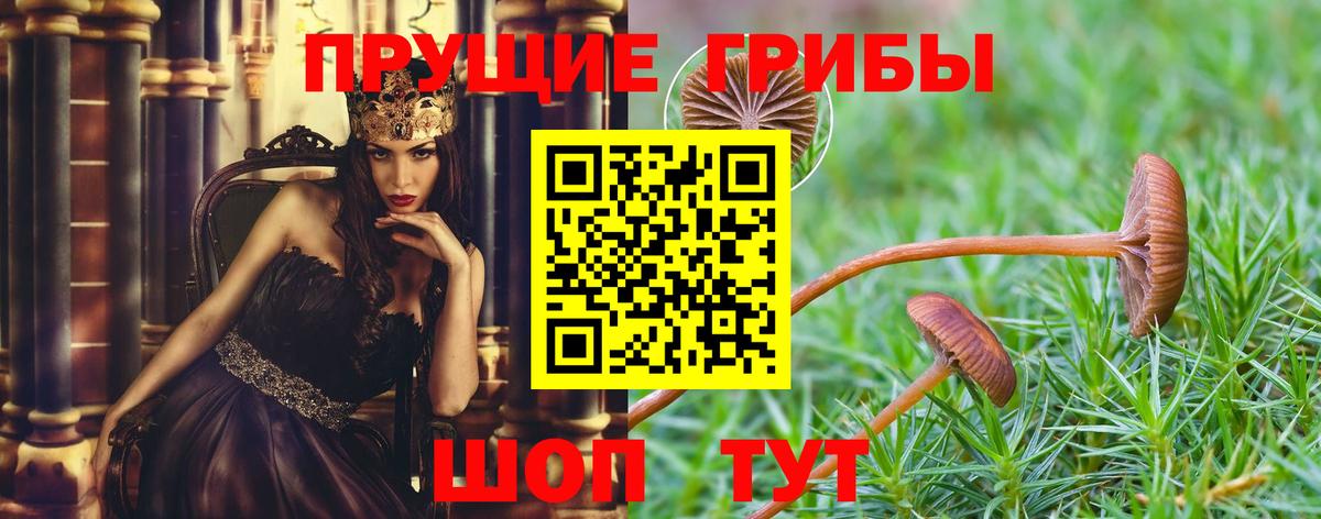 Дзержинский  Галлюциногенные грибы ЛСД  Вход с VPN  где продают наркотики  Галлюциногенные грибы Psilocybe 